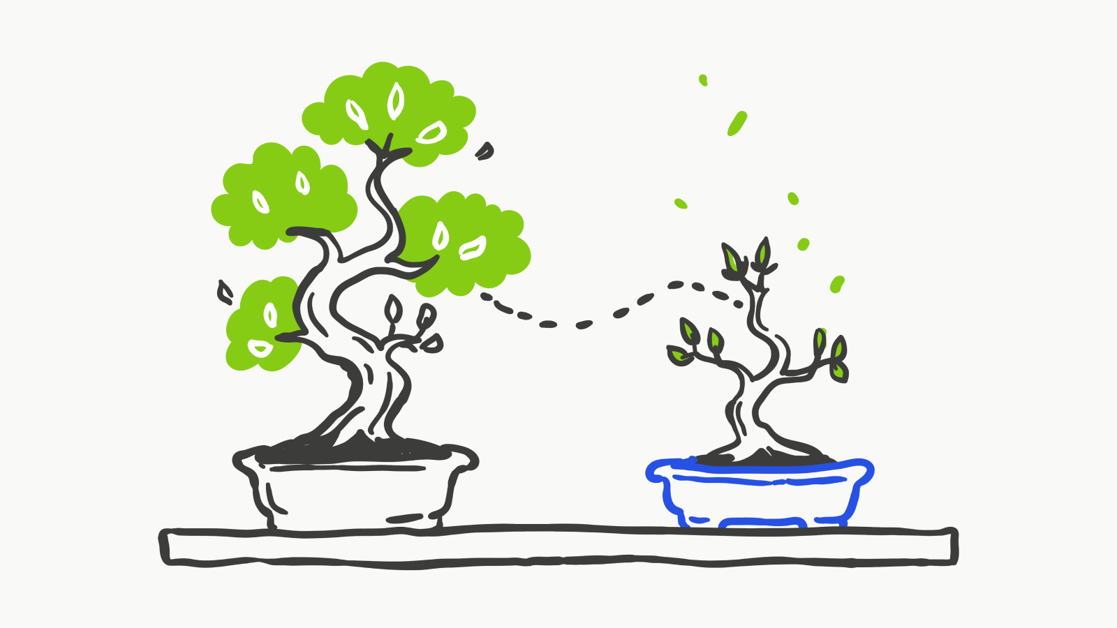 Bonsai | The First-Party Marketing Platform